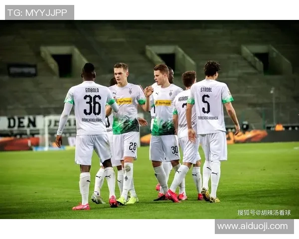 沙尔克与霍芬海姆25轮对决前瞻分析及赛果预测